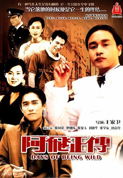 琴岛学院学位证书图片